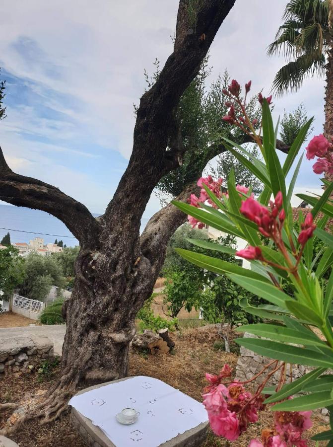 Apartman Veliki Pijesak Dobra Voda Exterior foto